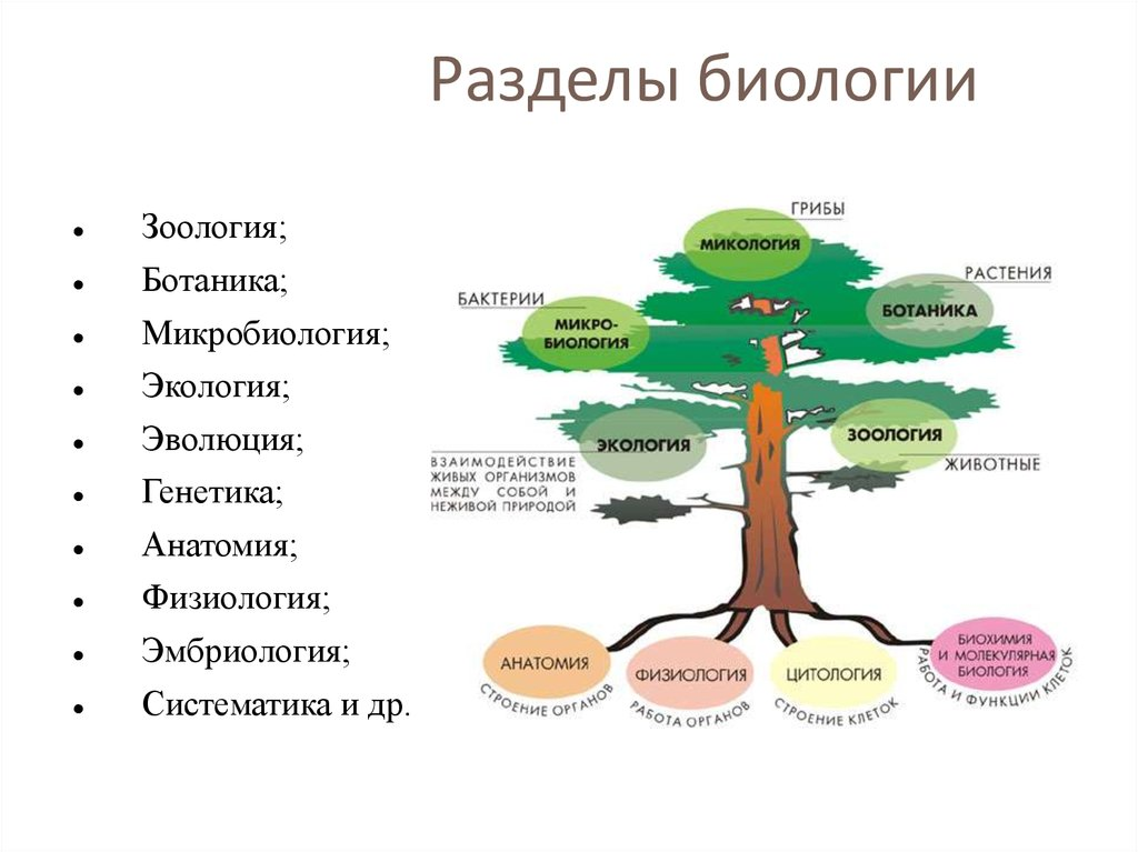 Пример системных уровней