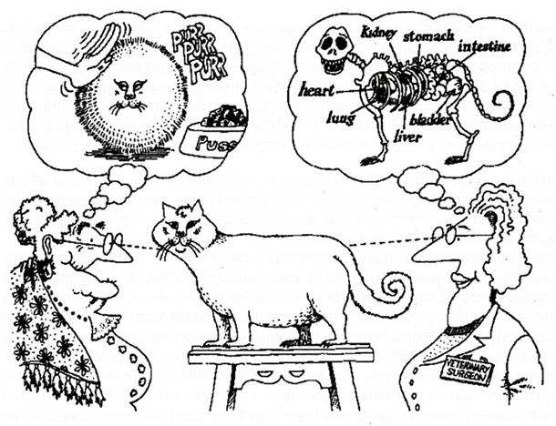 Изображение выглядит как рисунок, зарисовка, графическая вставка, Штриховая графика