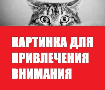 Конкуренция за внимание