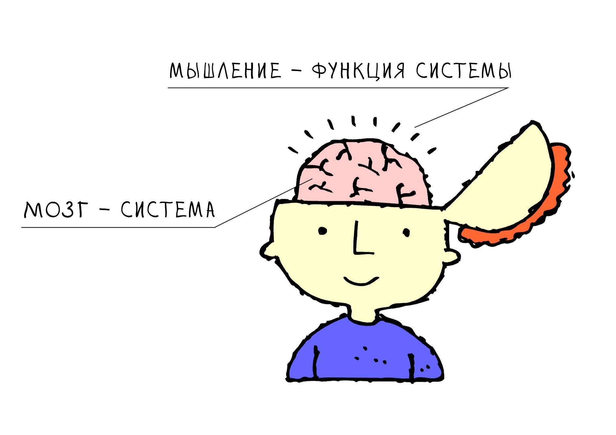 Мозг и мышление